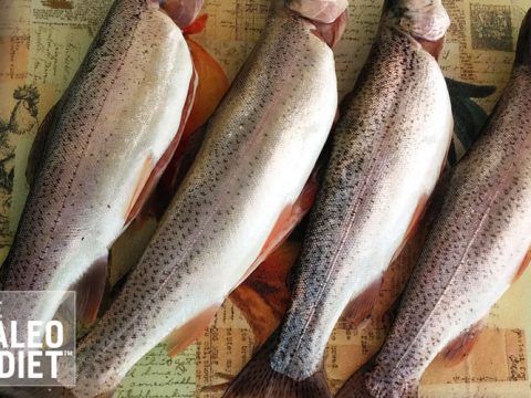 smoked trout for weight loss